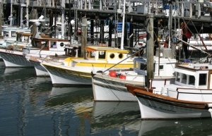 Fishman's Wharf fleet